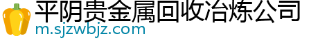 平阴贵金属回收冶炼公司